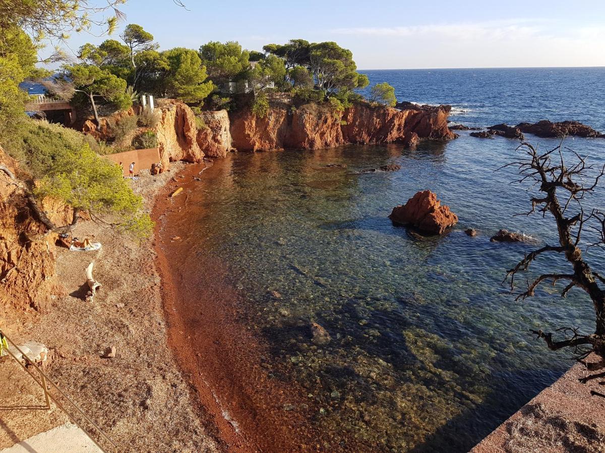D Hotes De La Louve Frejus