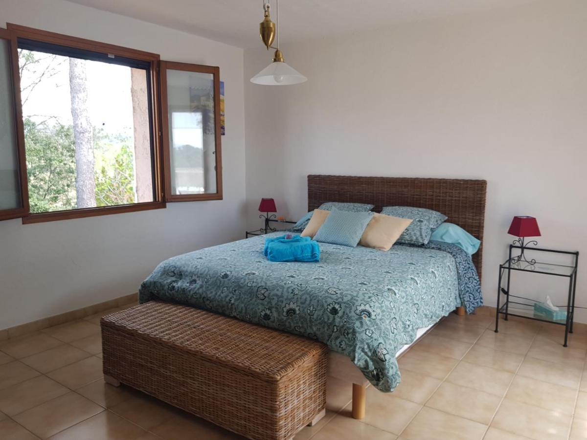 D Hotes De La Louve Frejus